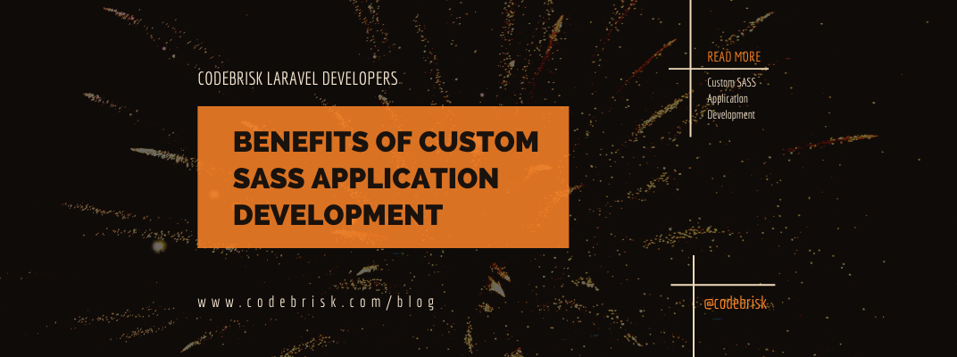 A Look at the Benefits of Custom SAAS App Development cover image
