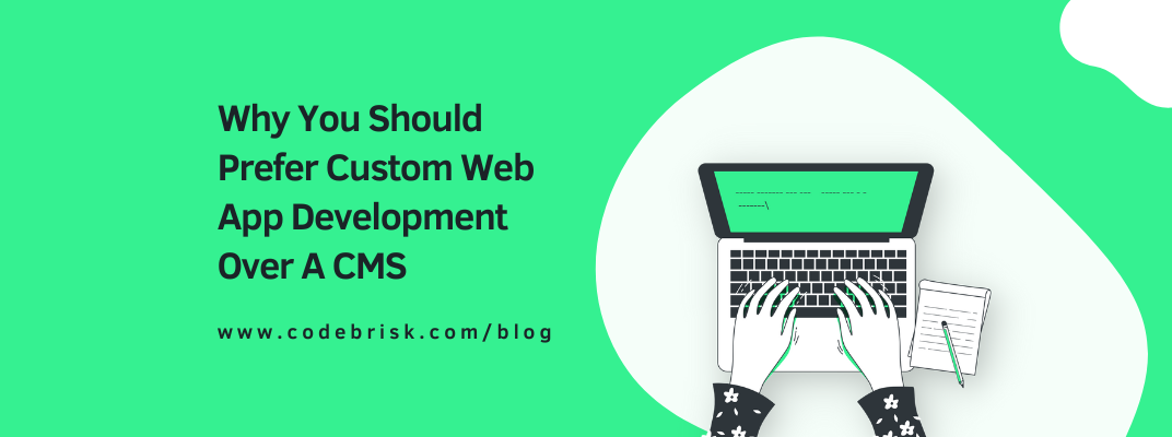 Why You Should Prefer Custom Web App Development Over A CMS cover image